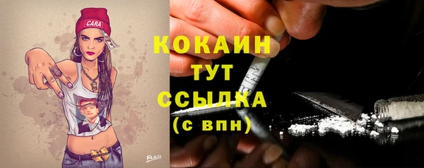 тгк Арсеньев