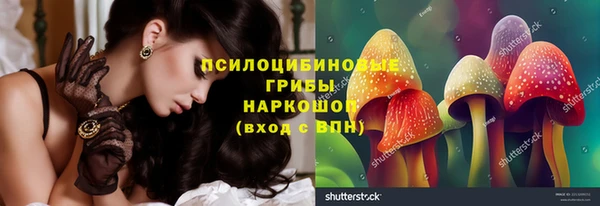 тгк Арсеньев
