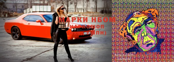 тгк Арсеньев