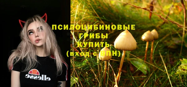 тгк Арсеньев