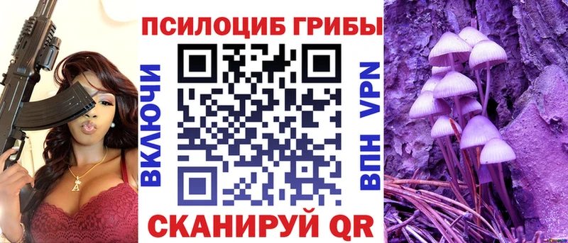 Галлюциногенные грибы Cubensis  Мегион 
